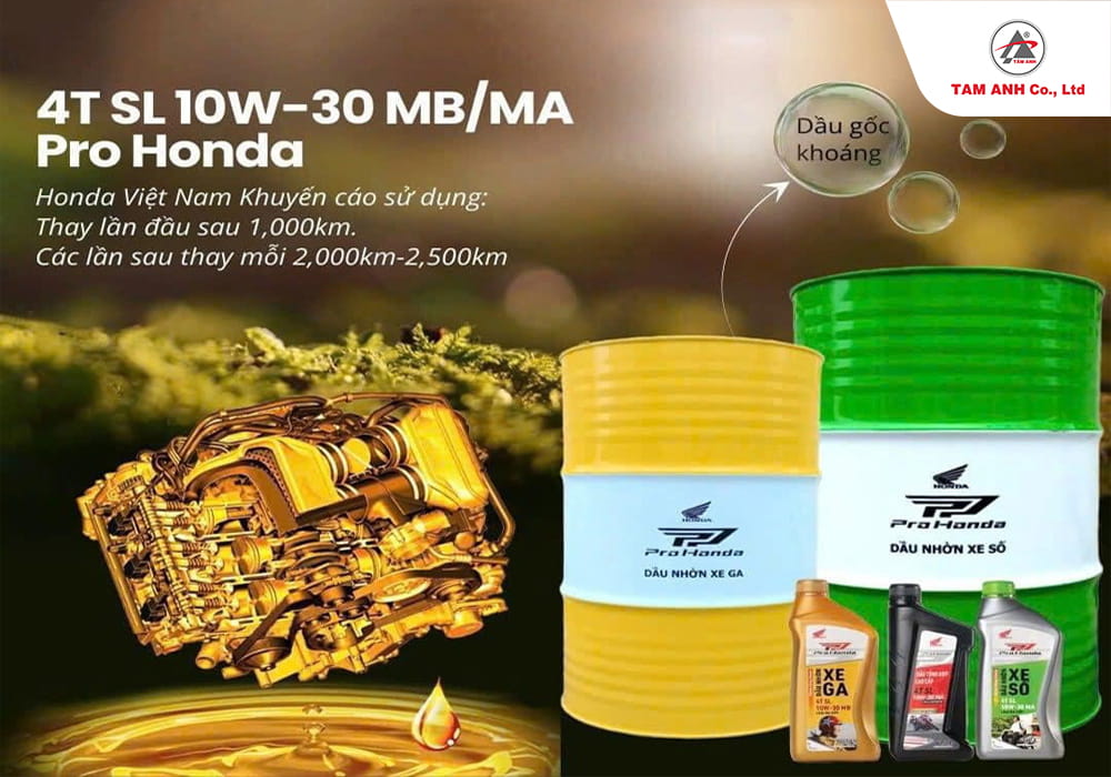 Pro Honda, loại nhớt phù hợp cho Honda Future