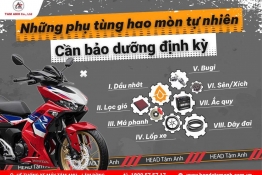 Bảo dưỡng định kỳ giá bao nhiêu và bao gồm quá trình nào?