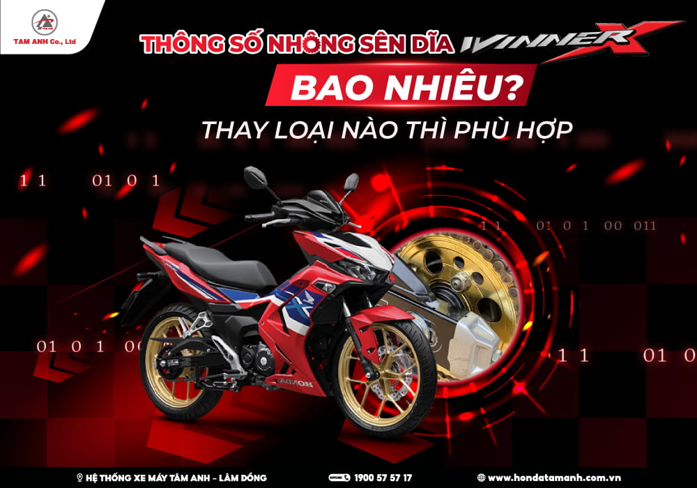 Thông số nhông sên dĩa trên winner x