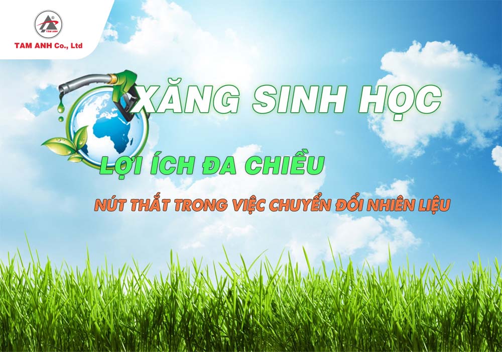 Lợi ích thiết thực của xăng E10 giúp giảm đáng kể lượng khí thải độc hại