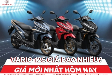 Vario 125 giá bao nhiêu tại HEAD Tâm Anh? Giá mới nhất hôm nay
