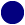 Xanh navy