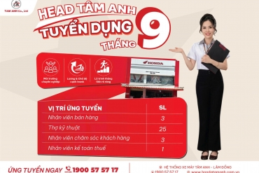 HEAD TÂM ANH TUYỂN DỤNG THÁNG 9/2026
