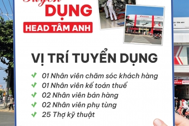 HEAD TÂM ANH TUYỂN DỤNG THÁNG 11/2025